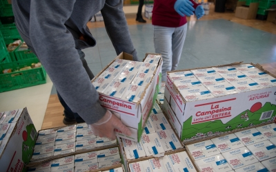 Imatge del repartiment d'aliments/ Roger Benet